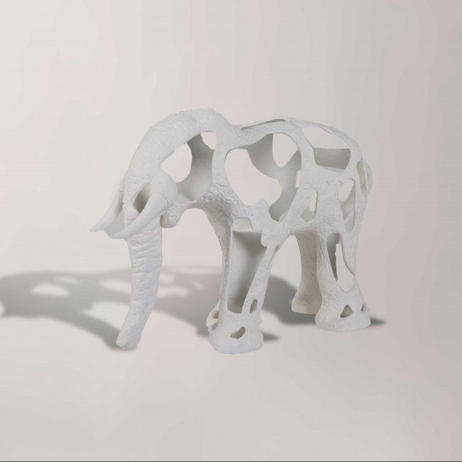 PERFORATED ELEPHANT