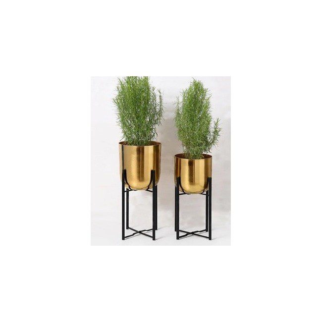 حامل نباتات